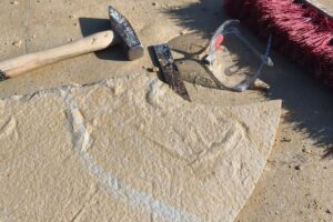 Fossilien-Steinbruch