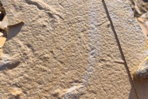 Fossilien-Steinbruch