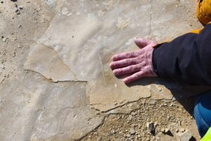 Fossilien-Steinbruch